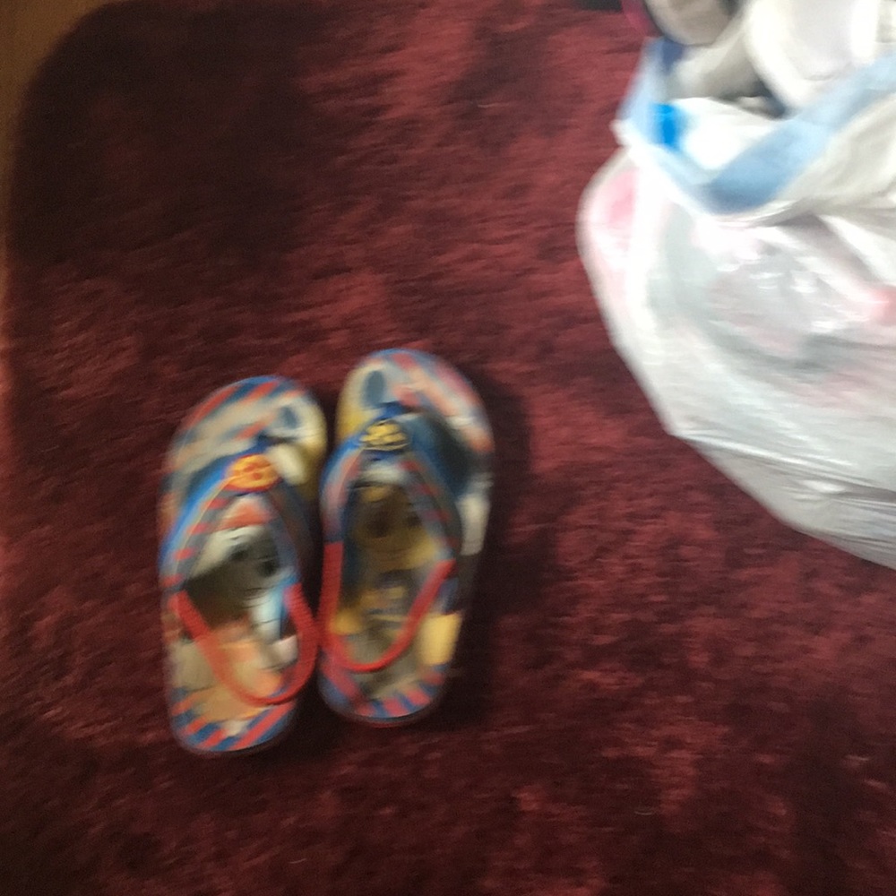 Paw patrol flip-flops
